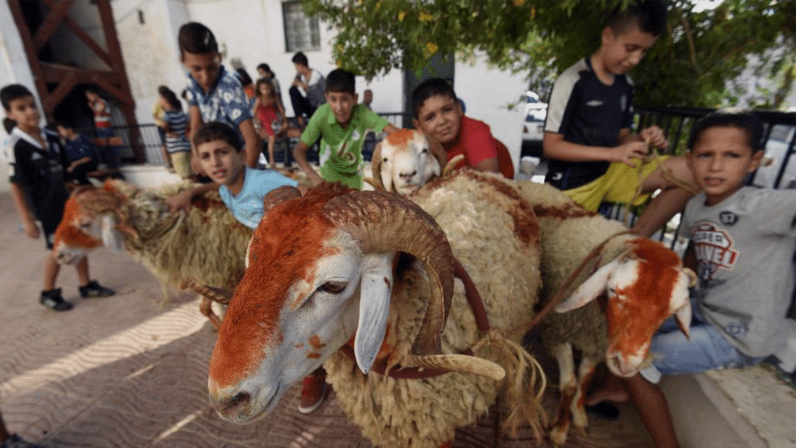 عيد الأضحى 2026 فلكياً الأربعاء 27 مايو ووقفة عرفات الثلاثاء 26 مايو — image 1