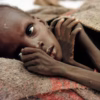 الجوع ينهش السودانيين.. 19.5 مليون شخص في دائرة الخطر